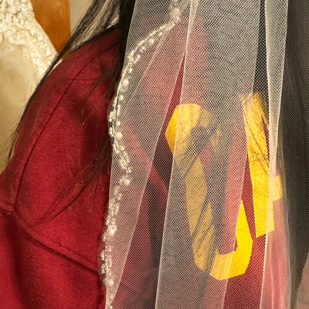 Elegant Lace Wedding Dress - Picture 10 of 10